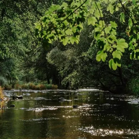 Διαμέρισμα Ardennes View Apartment- Petit Wilogne